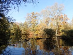 November 2025 - Wintersdorf